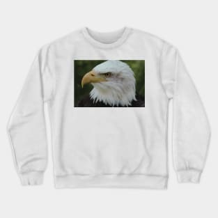 Bald Eagle (Cool) Crewneck Sweatshirt